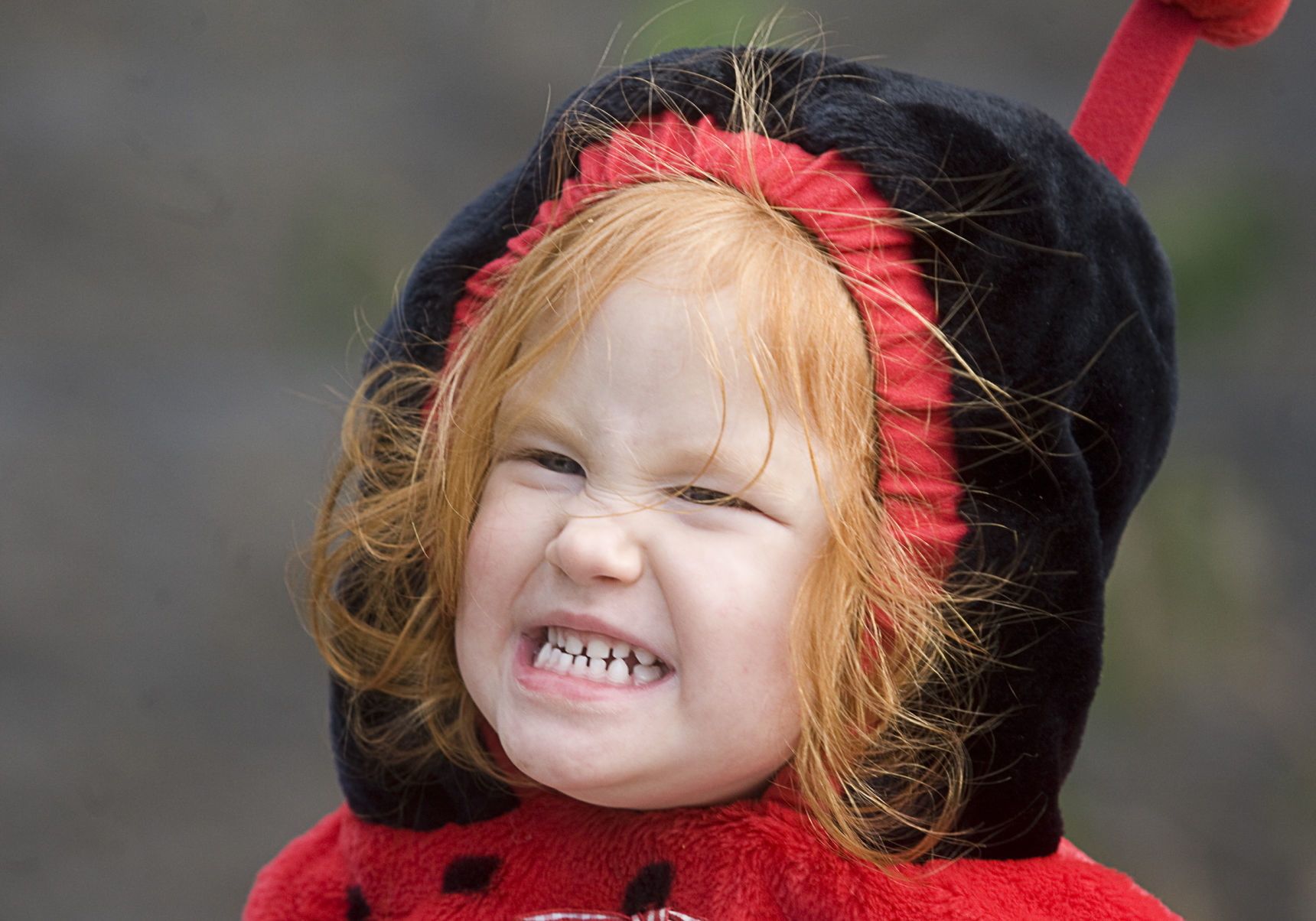 Boo at the Zoo